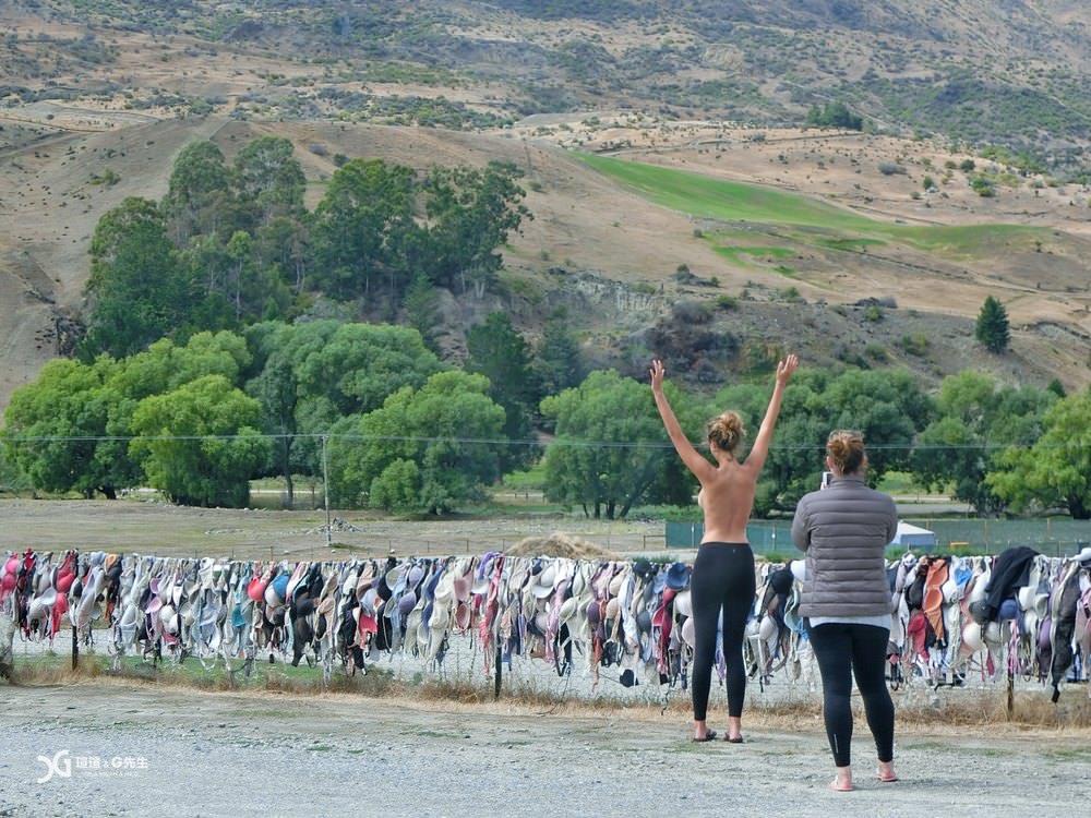胸罩圍欄 Cardrona Bra Fence 紐西蘭景點 New Zealand