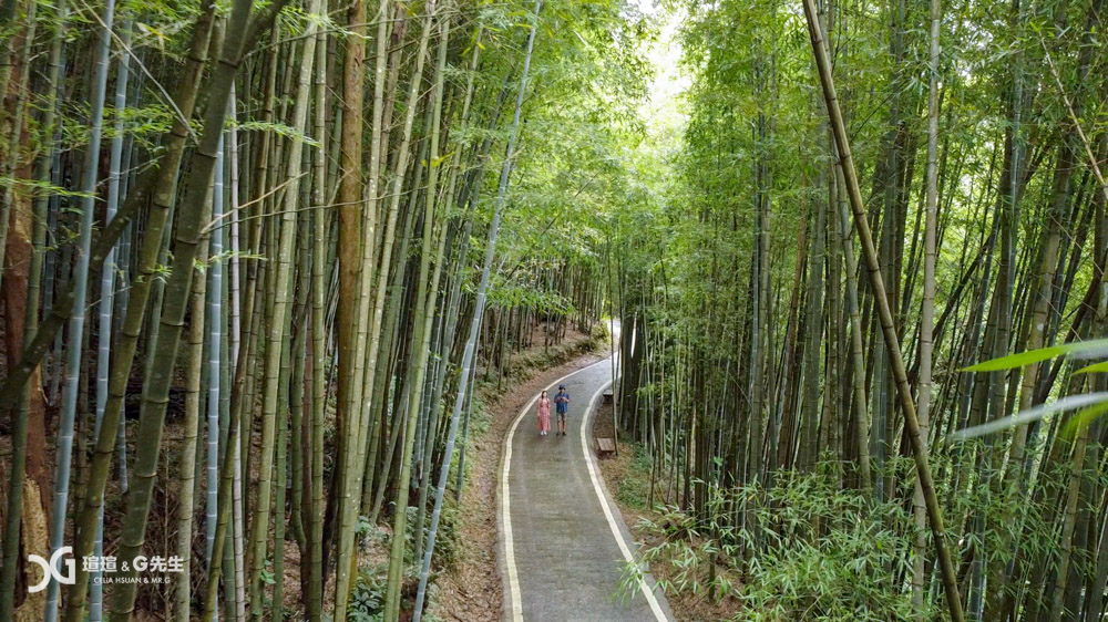 瑞里綠色隧道 嘉義梅山景點推薦