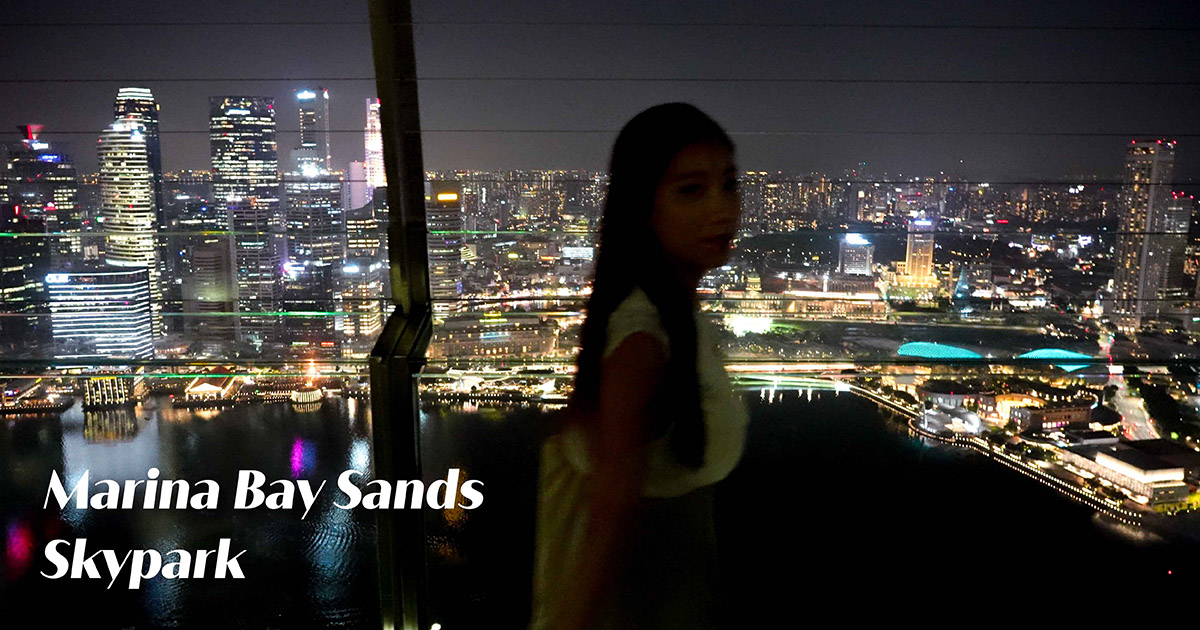 Marina Bay Sands Skypark 金沙酒店濱海灣空中花園觀景台