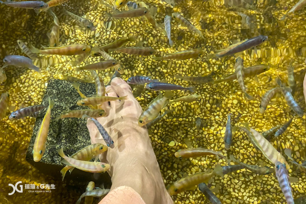 宜蘭礁溪景點 重口味 溫泉魚